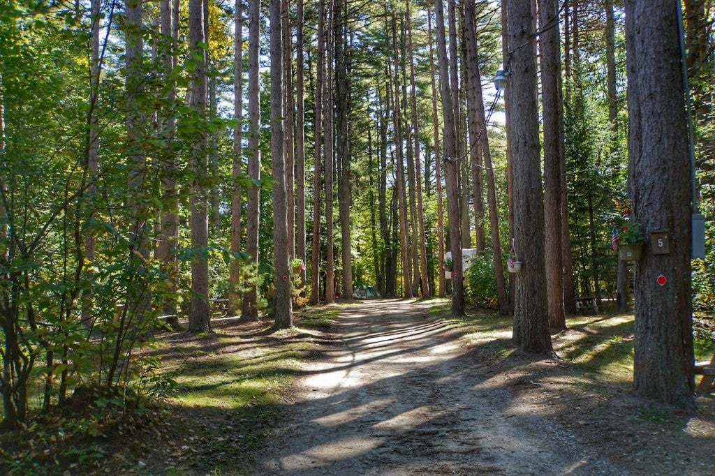 7 Best Campgrounds for Camping near Portland, Maine