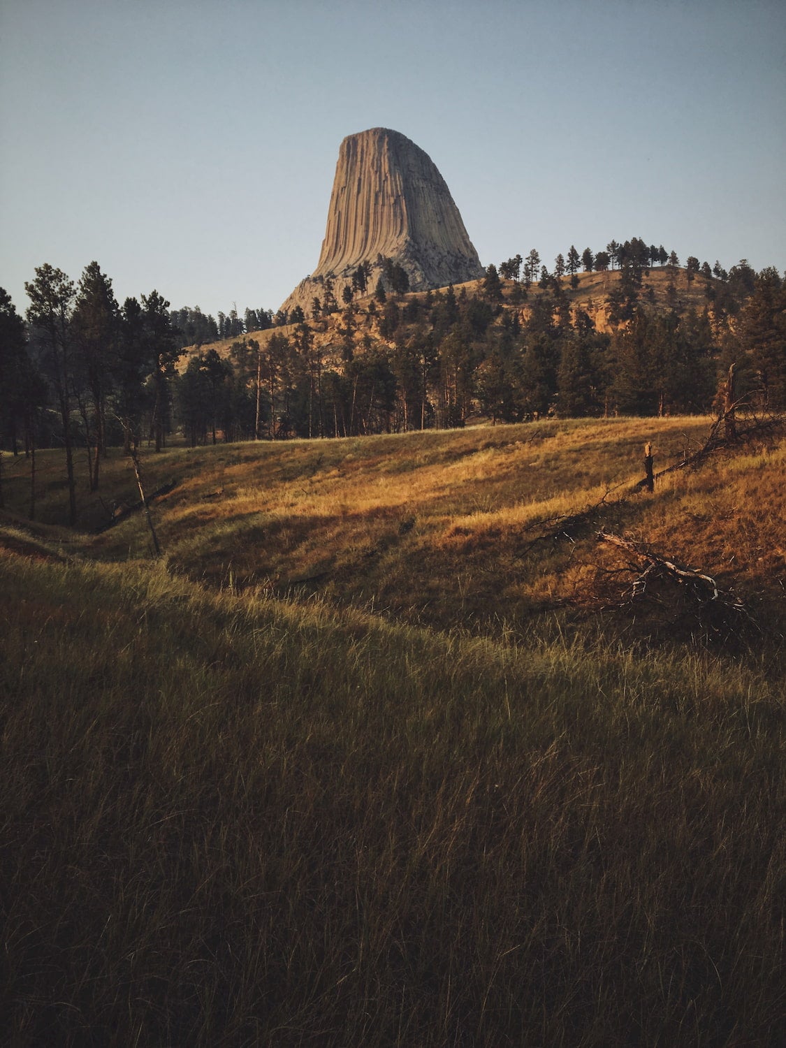 Devils tower rock formation with rolling hills in the foregroound.