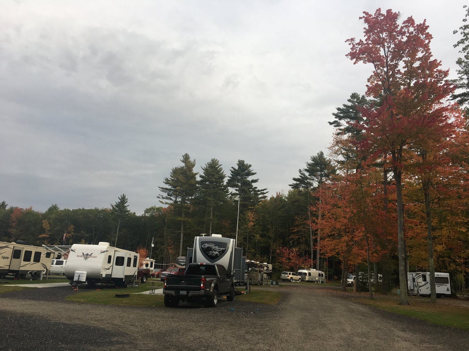 rows of RVs parked at campground