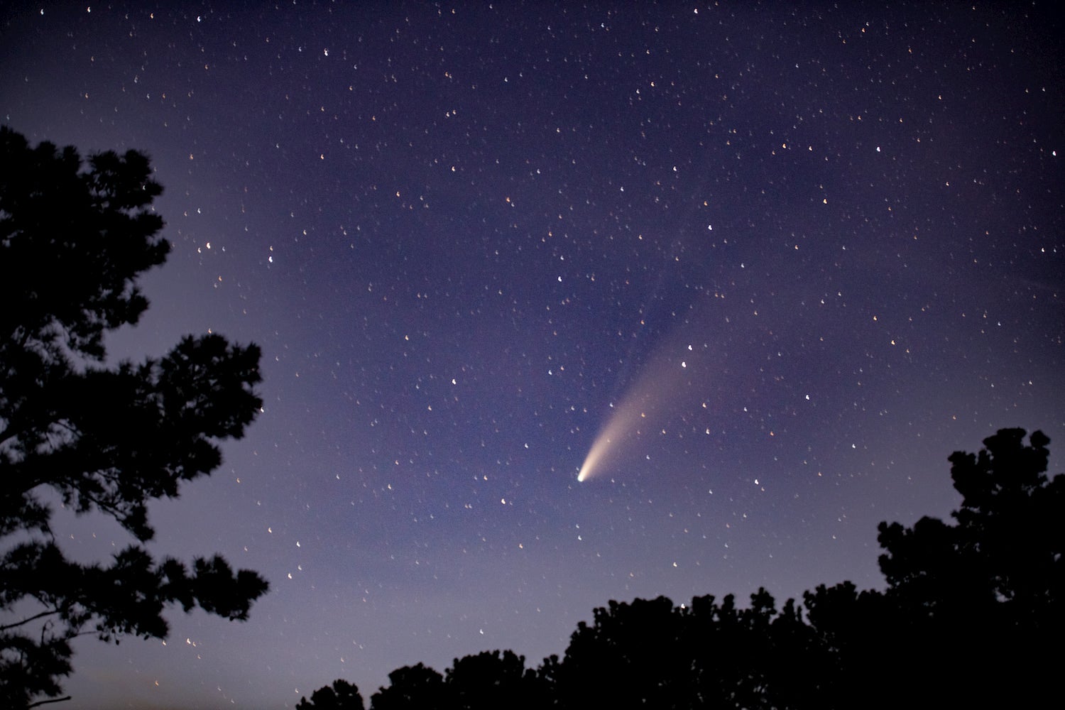 comet in southern georgia