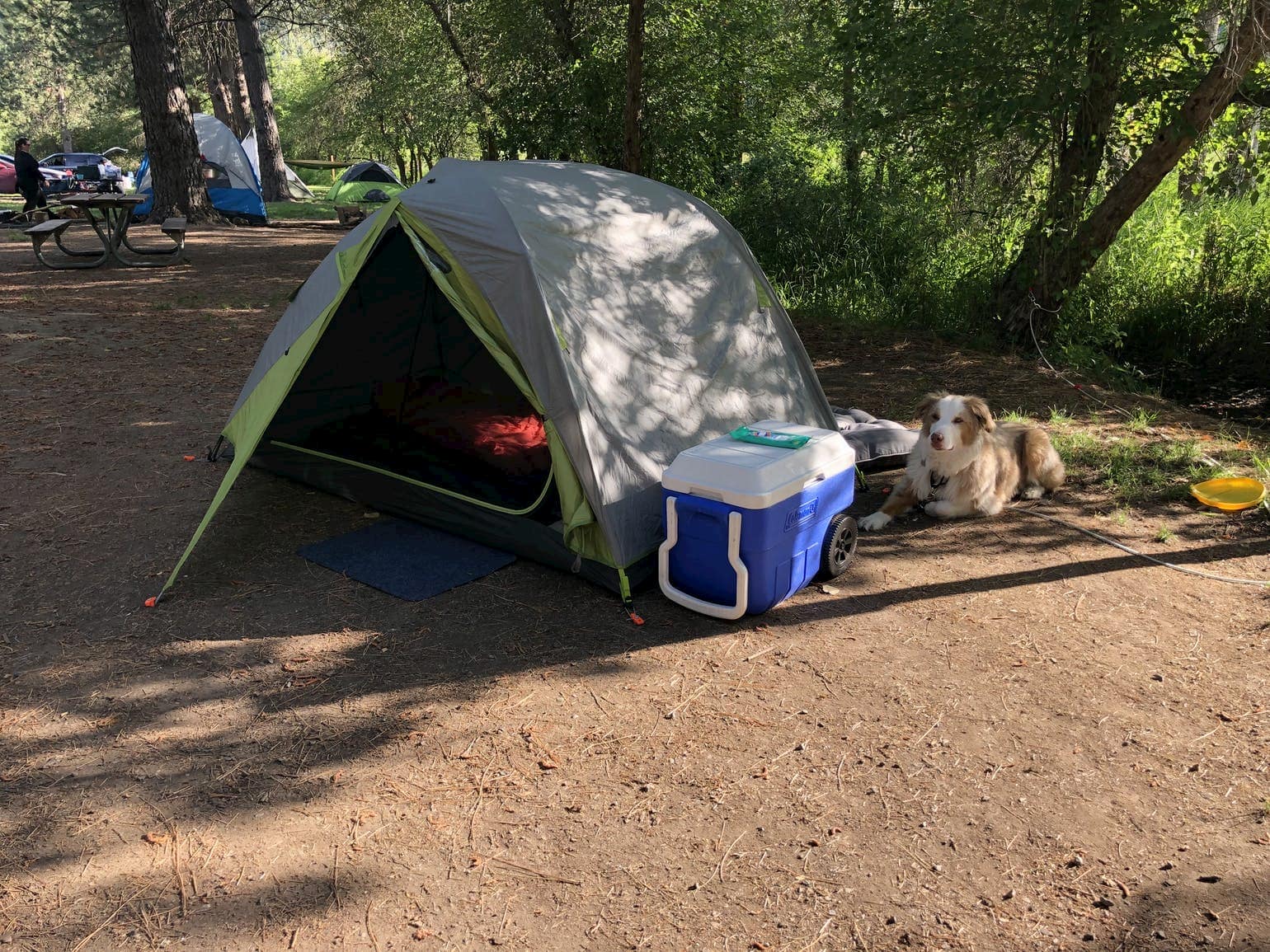 Tent with dog and cooler beside it at Washington Liberty LAke.