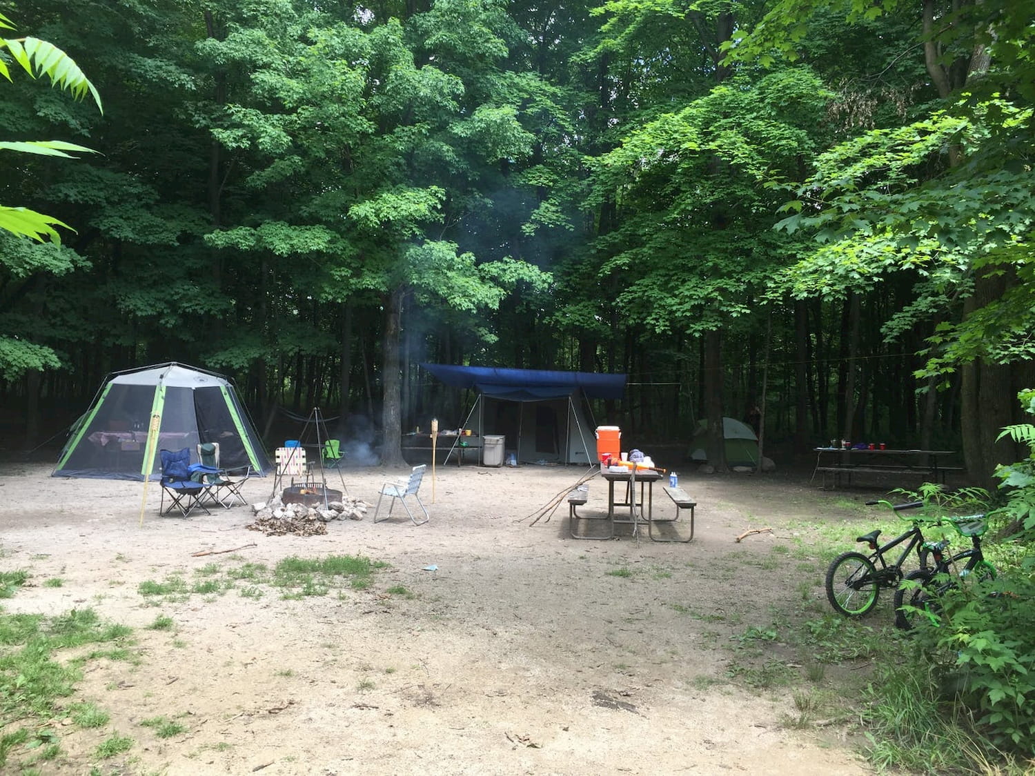 heavily forested group campsite with chairs around the campfire