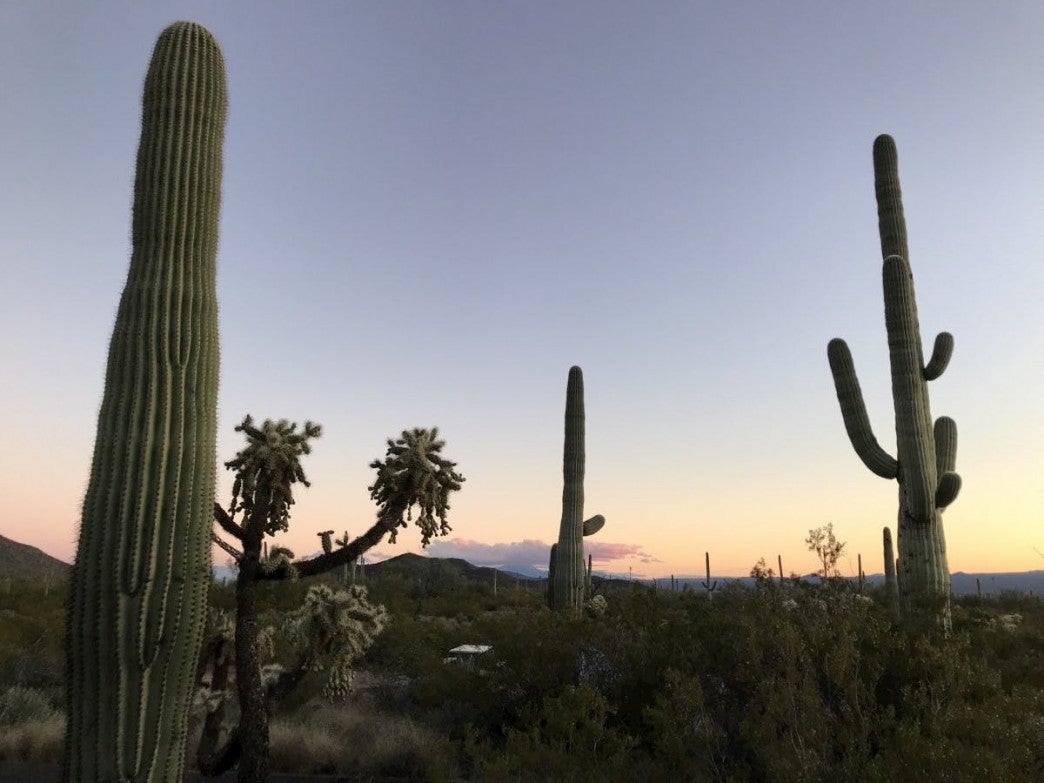 7 Fantastic Campgrounds Near Tucson, Arizona for YearRound Camping