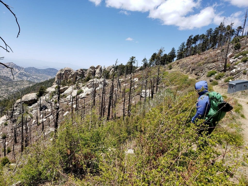 7 Fantastic Campgrounds Near Tucson, Arizona for YearRound Camping