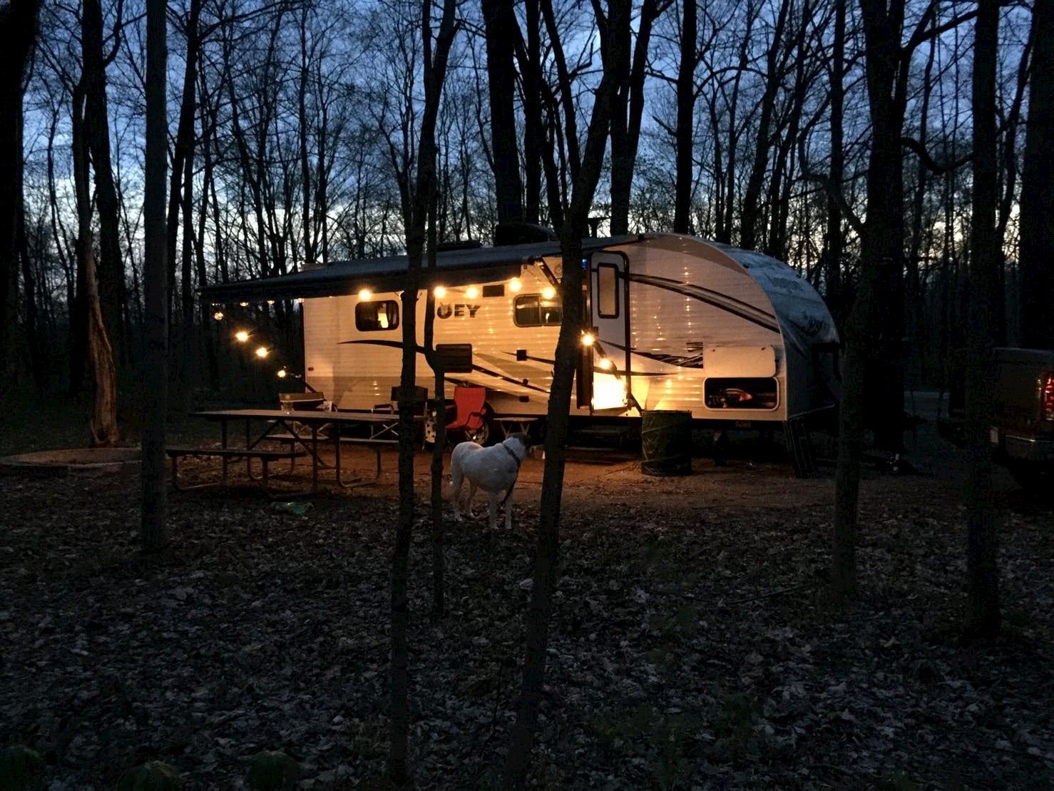 RV lit up with string lights at a campsite.