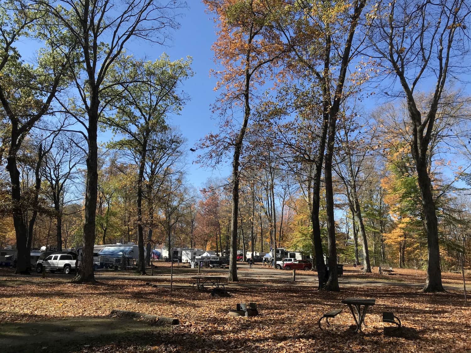 wide angle photo of all campsites in forest