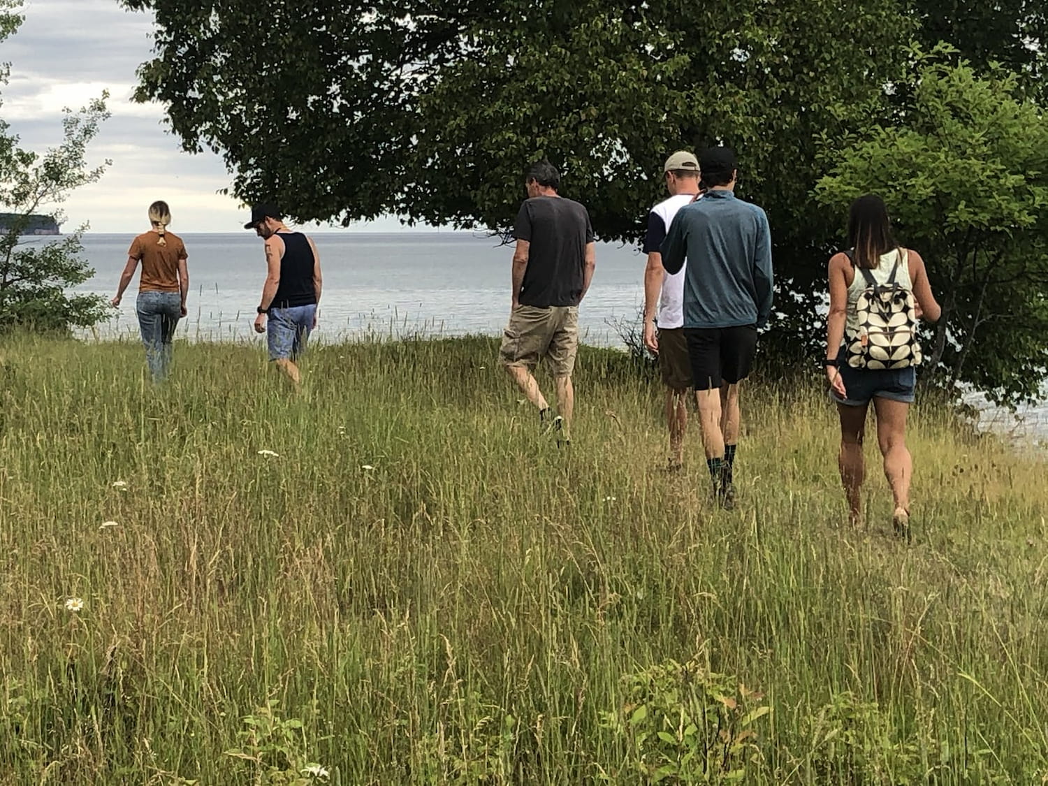 group walking on trail through a field