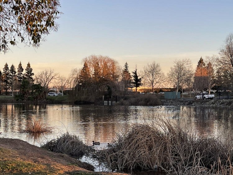 Experience California's Capital 7 Spots for Camping near Sacramento