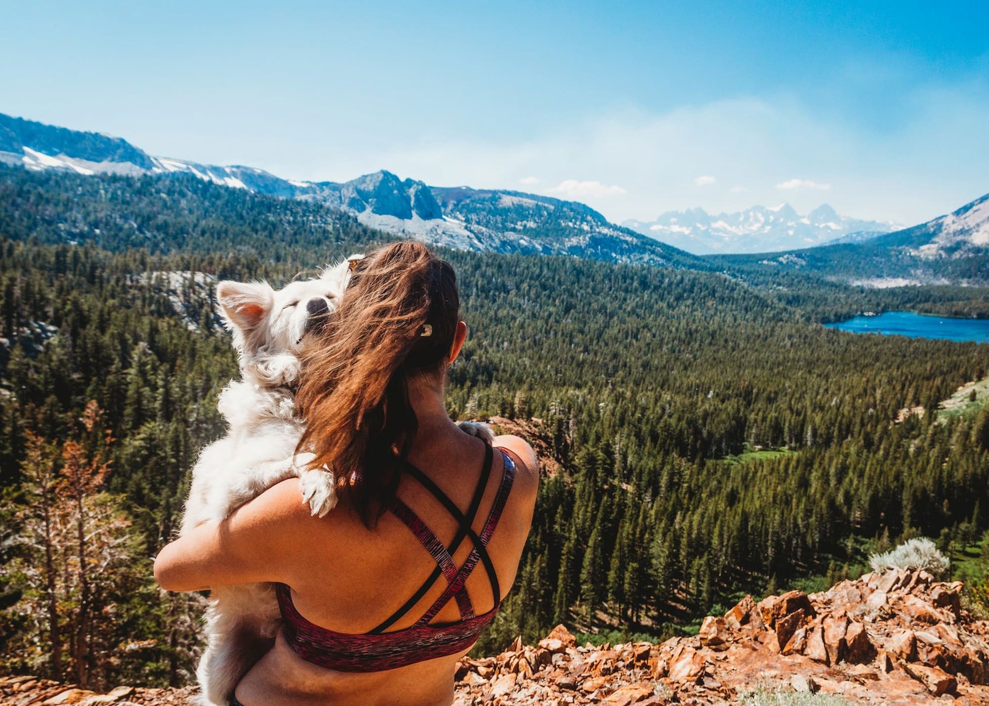 woman holding dog overlooking lake and forest