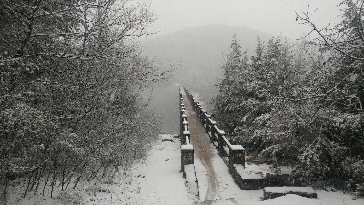 snowy bridge in the woods