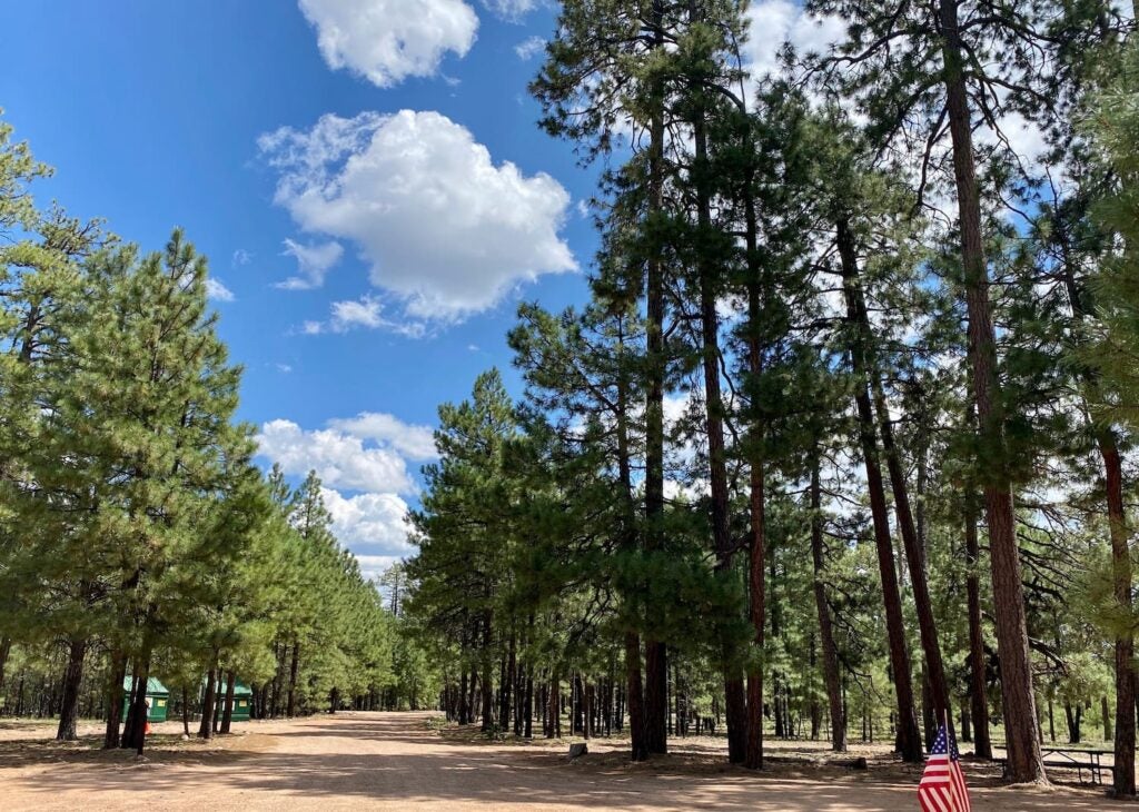 7 White Mountain Camping Spots to Experience Eastern Arizona