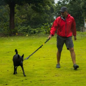 man walking dog on leash