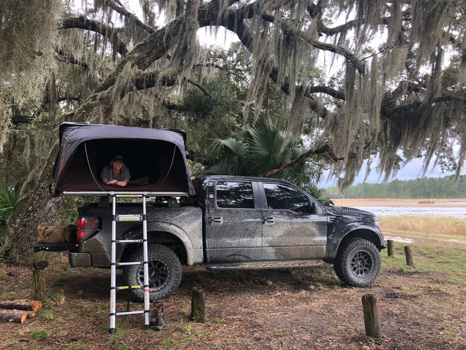 The Best Ocala National Forest Camping Spots in Central Florida