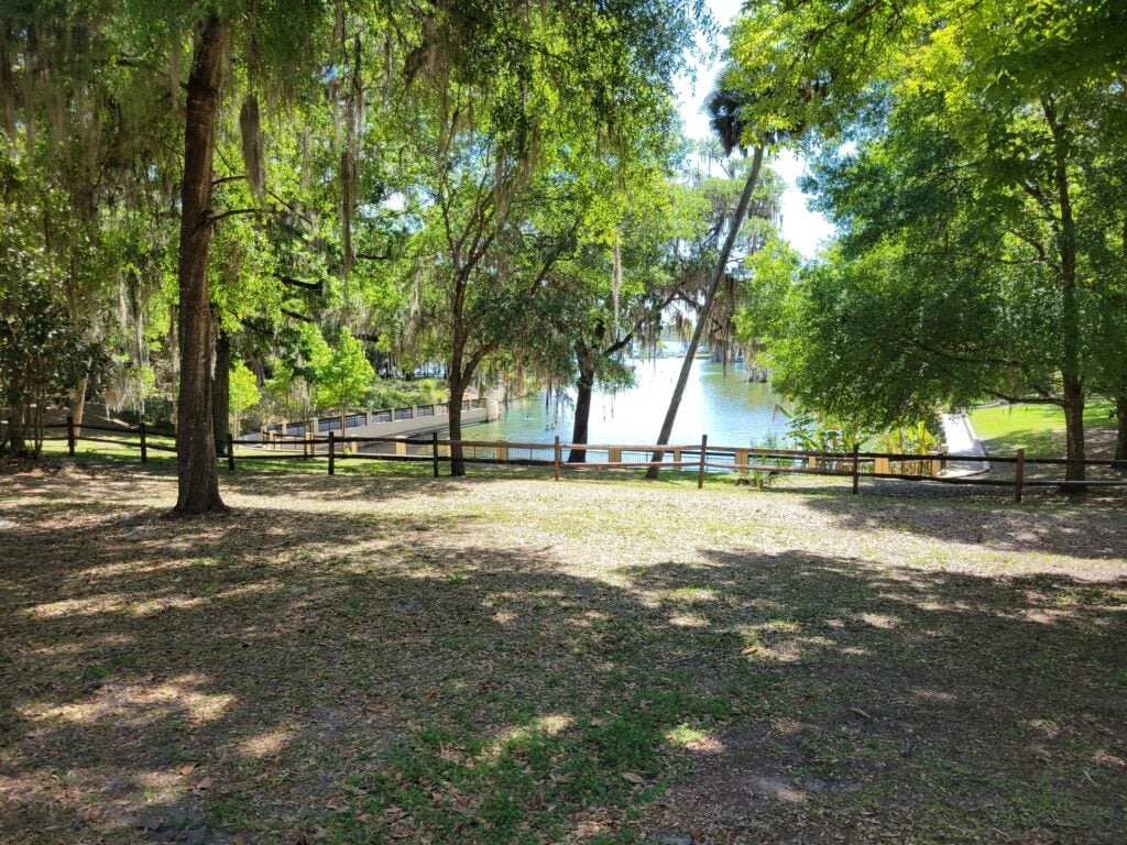 Escape To The Enchanting Ocala Forest: Your Guide To Campground Bliss