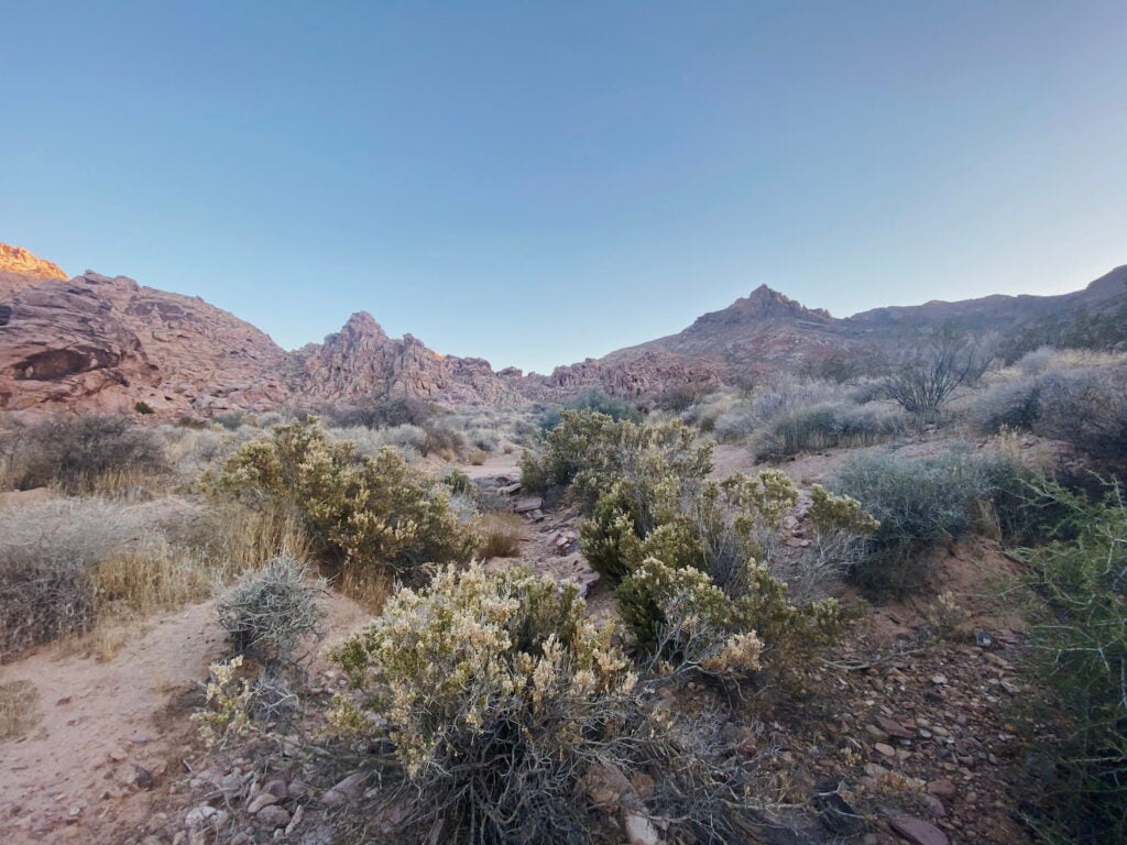 7 Dispersed Spots for Free Camping Las Vegas