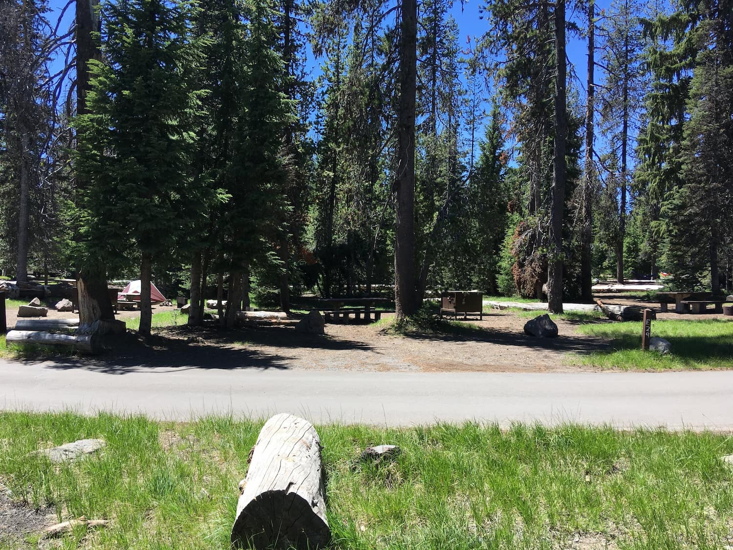 trees and developed campsites