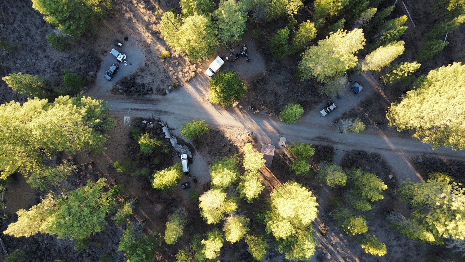 drone show of trees and campground