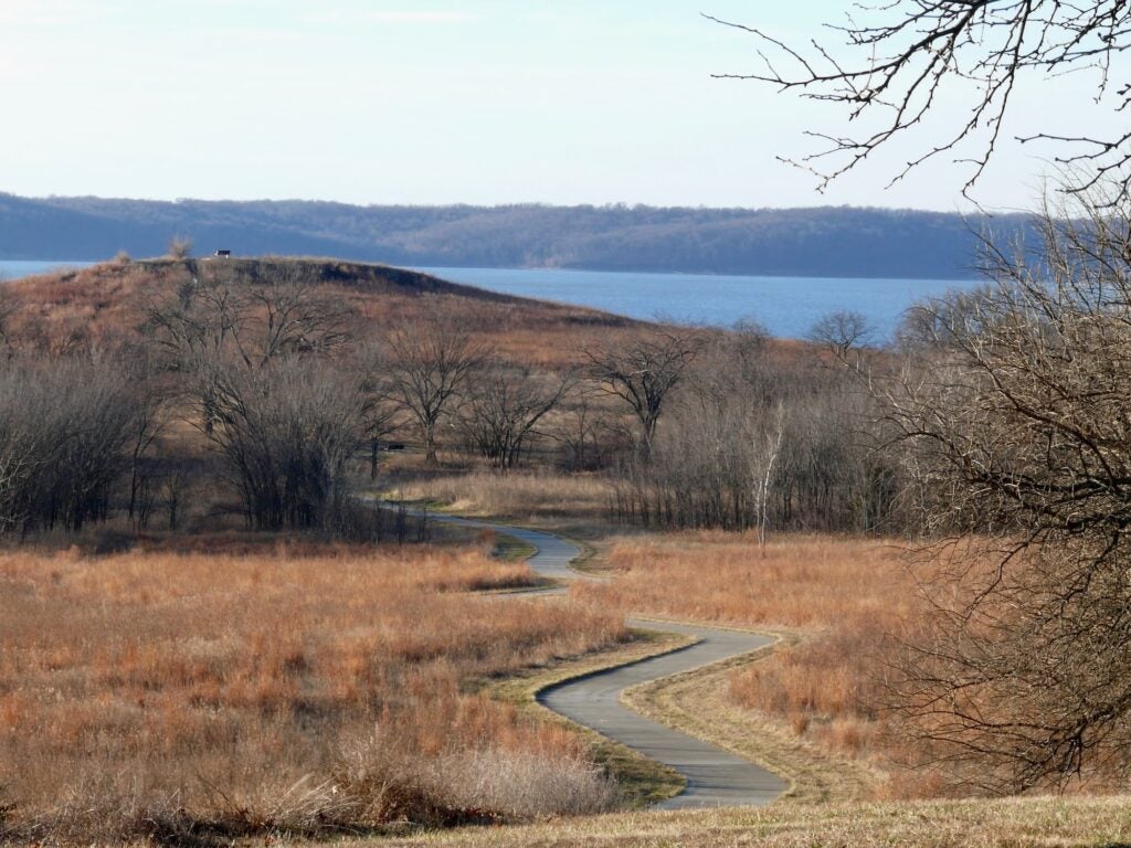 path leading to lake