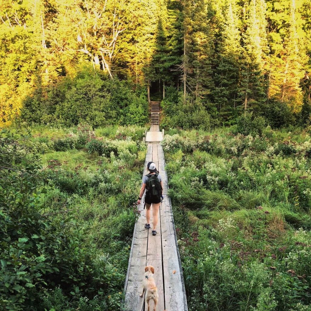 7 Porcupine Mountains Camping Spots to Enjoy the Wilderness