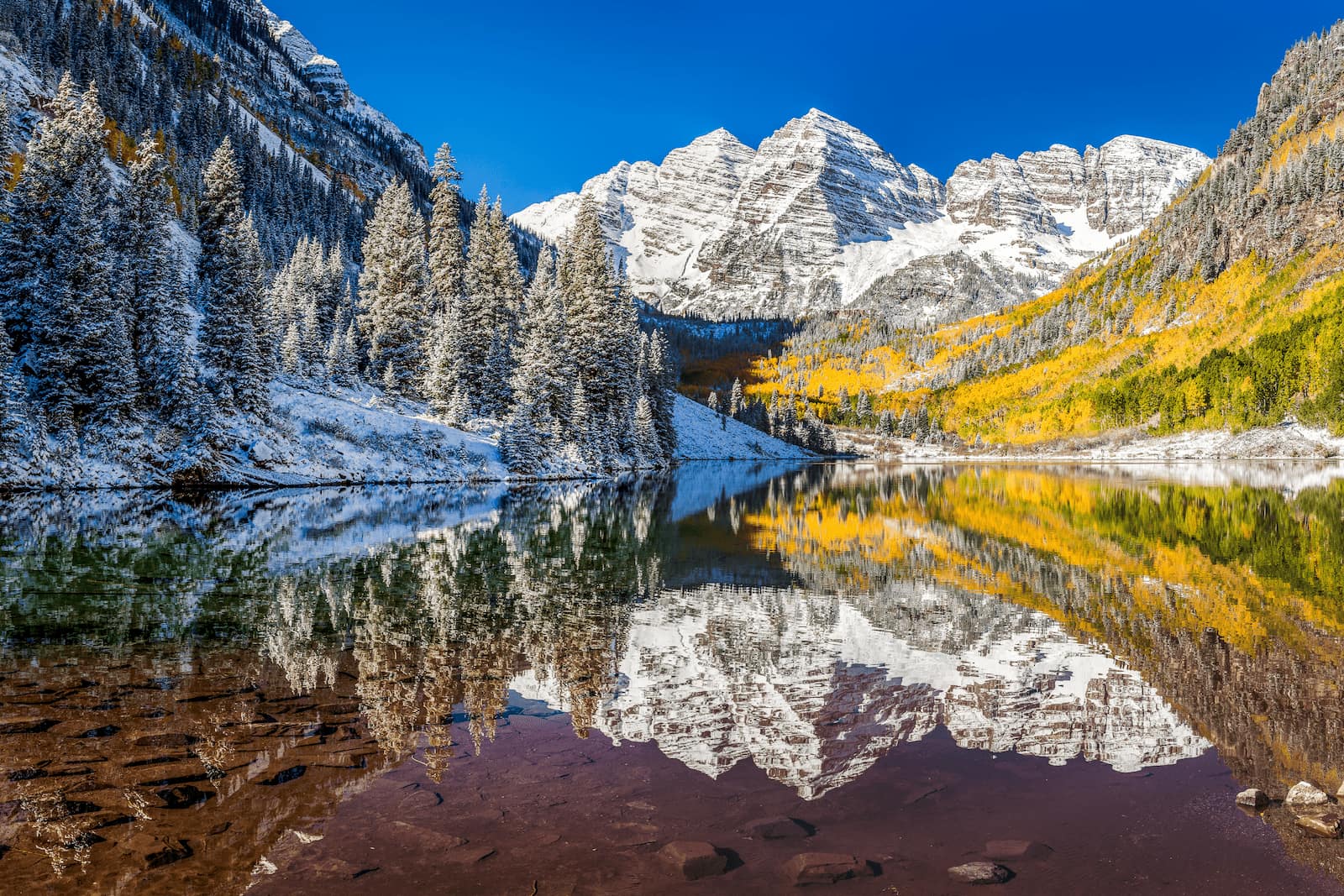 Yellow aspens of Rocky Mountain National Park.