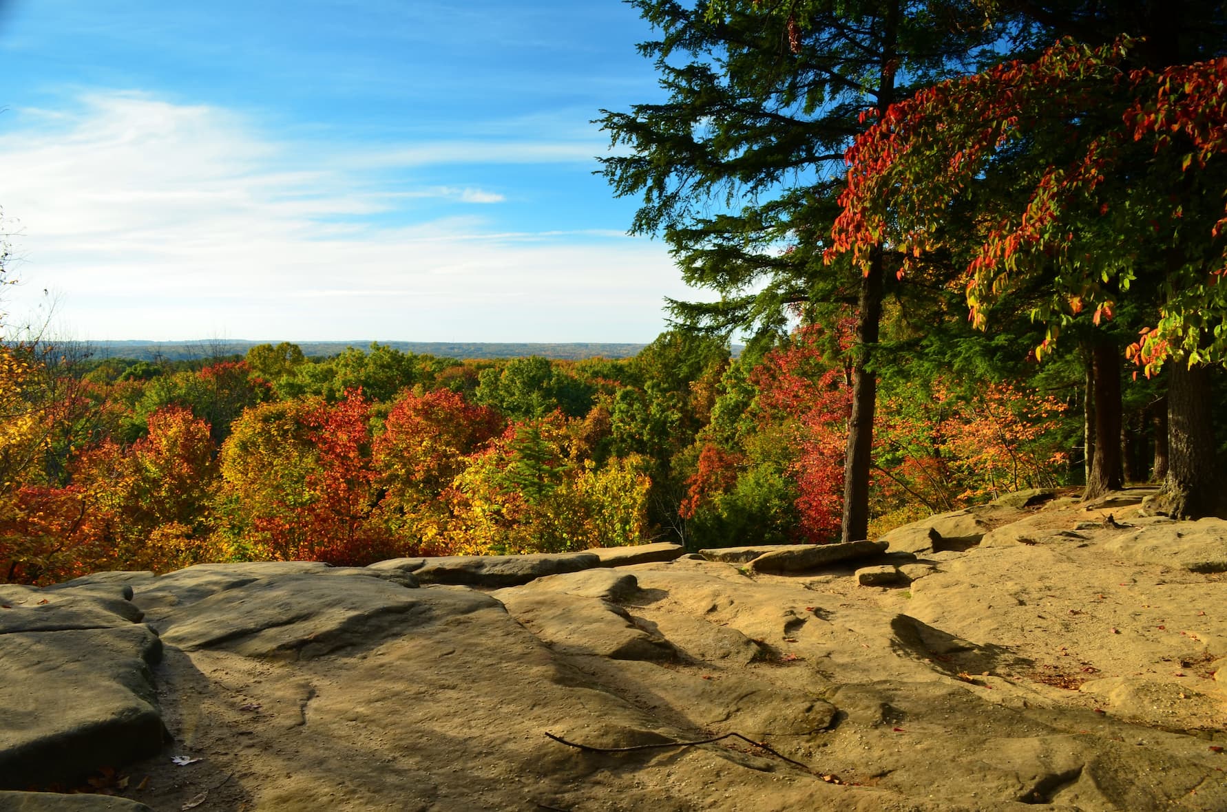 The foliage in Cuyahoga National Park.