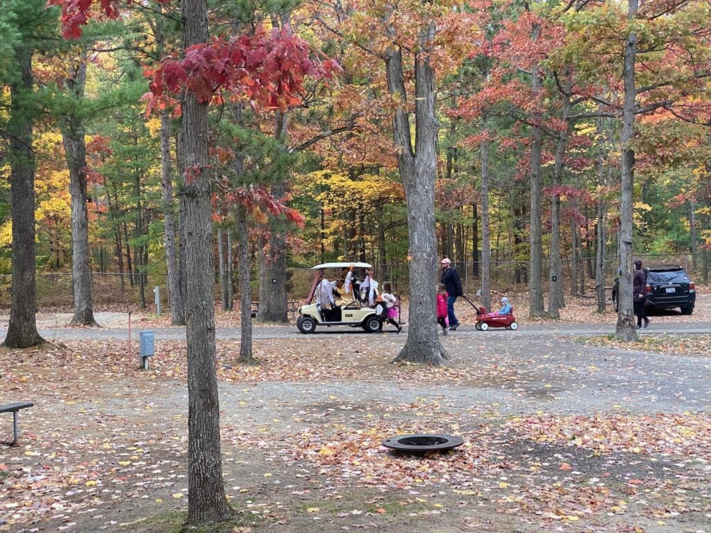 Enjoy the Lakes at These 7 Traverse City Camping Cabins