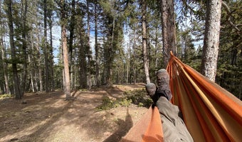 5 Colorado Springs Camping Cabins to Cozy Up In