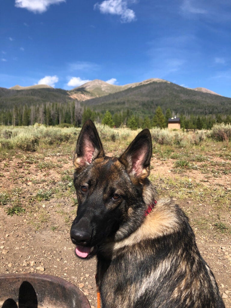 5 Colorado Springs Camping Cabins to Cozy Up In