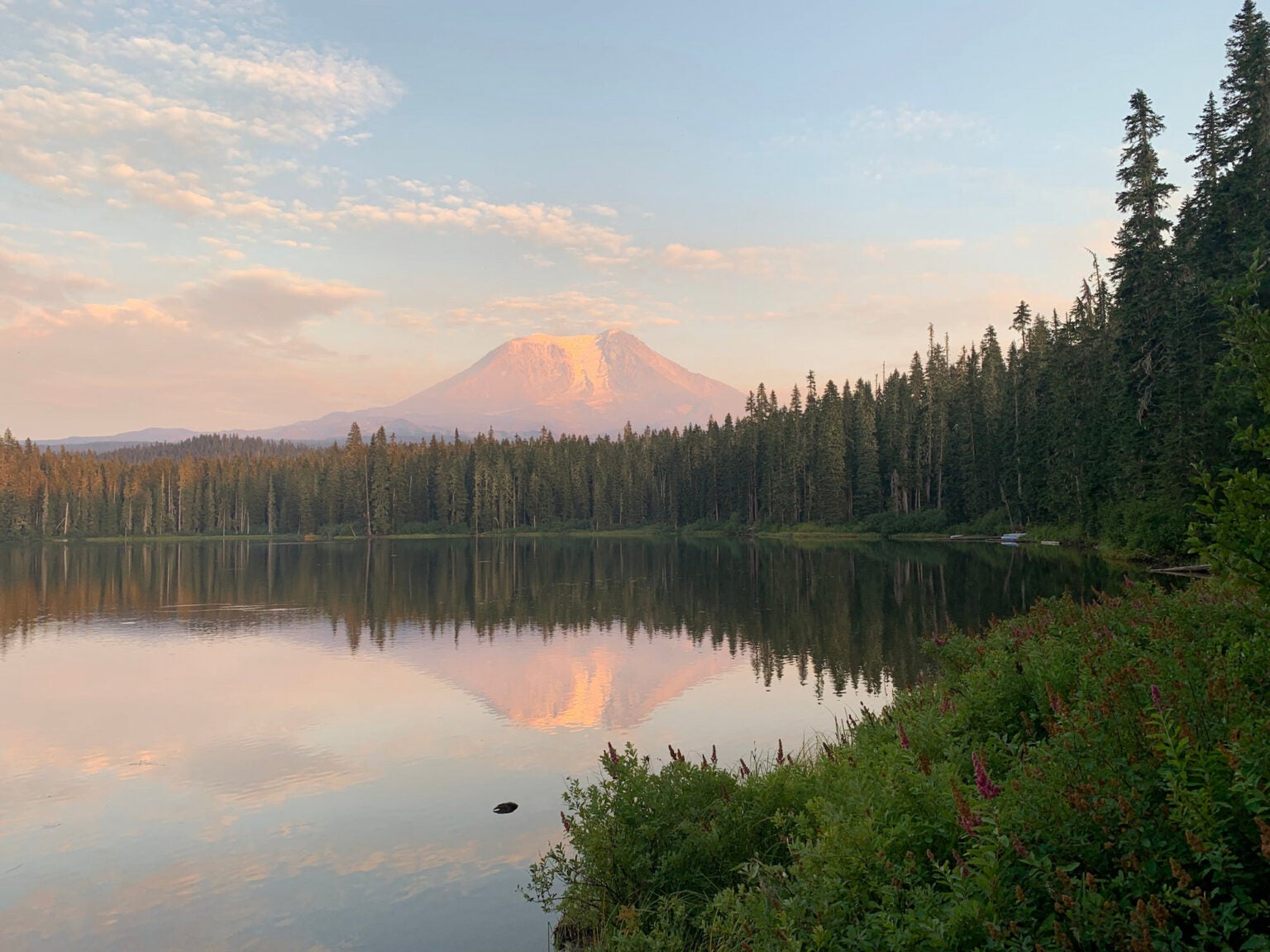 8 Beautiful Gifford Pinchot National Forest Camping Sites