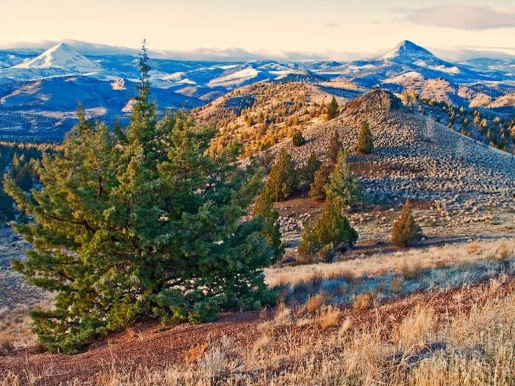 Explore Oregon at These 4 Ochoco National Forest Camping Spots