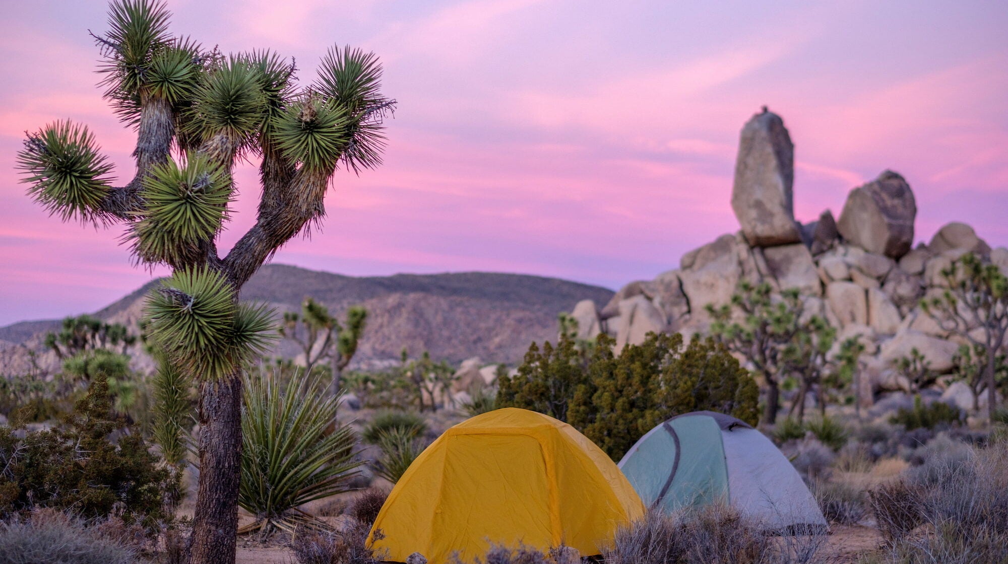 How to find free camping on the west coast