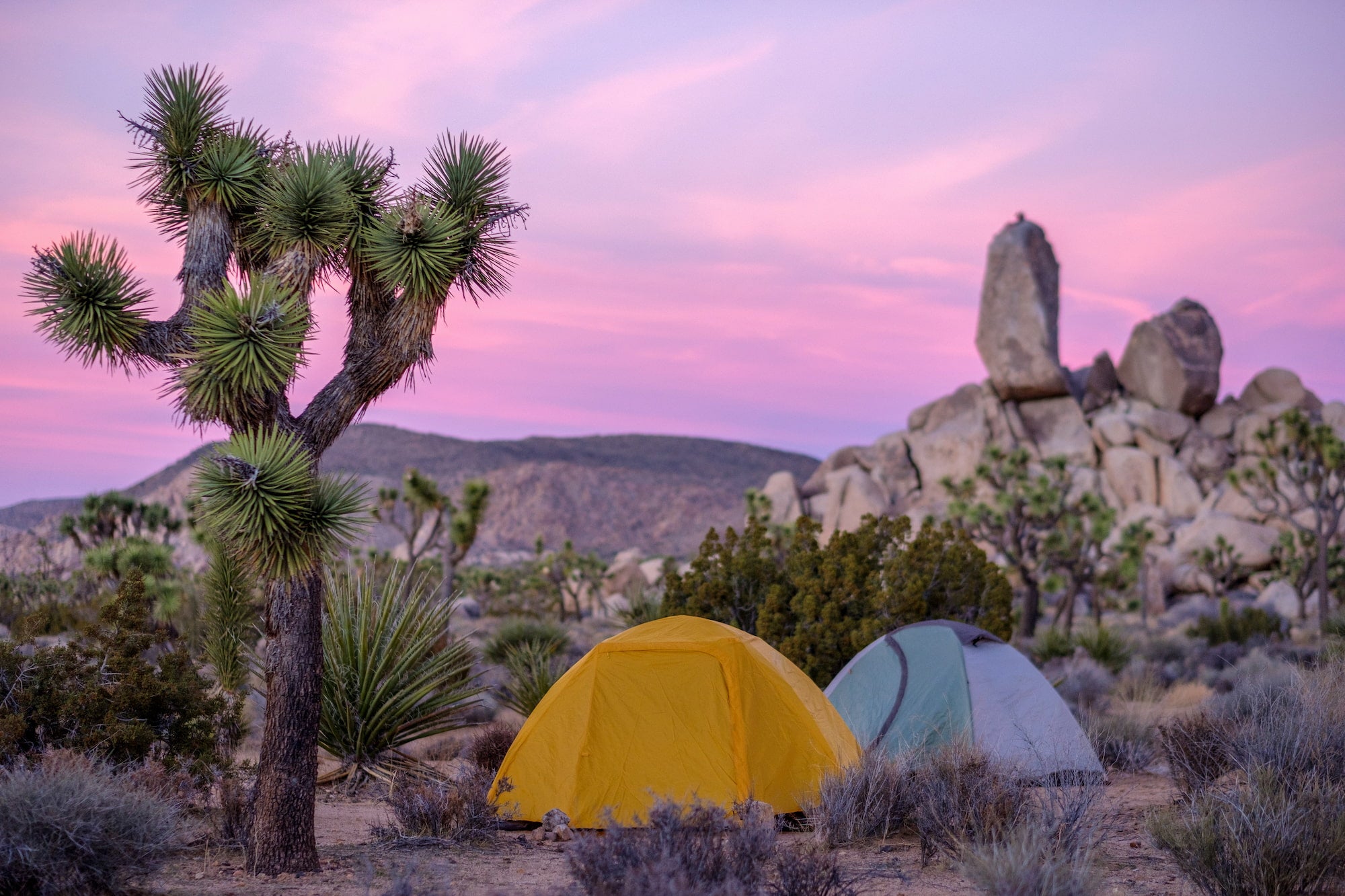 How to find free camping on the west coast