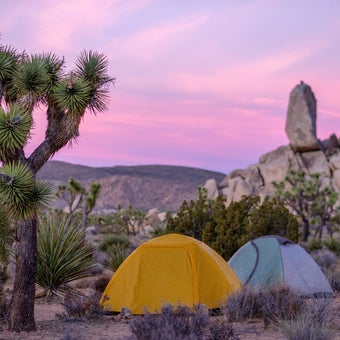 How To Find Free Camping on the West Coast
