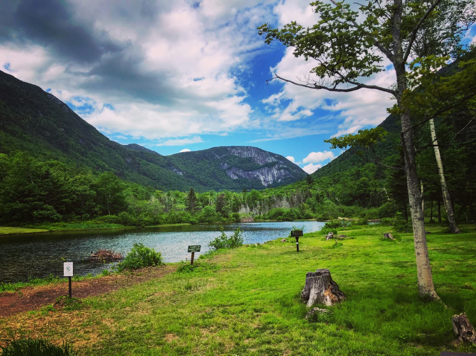 Crawford Notch with rocky white mountains in the distance and a pond below.