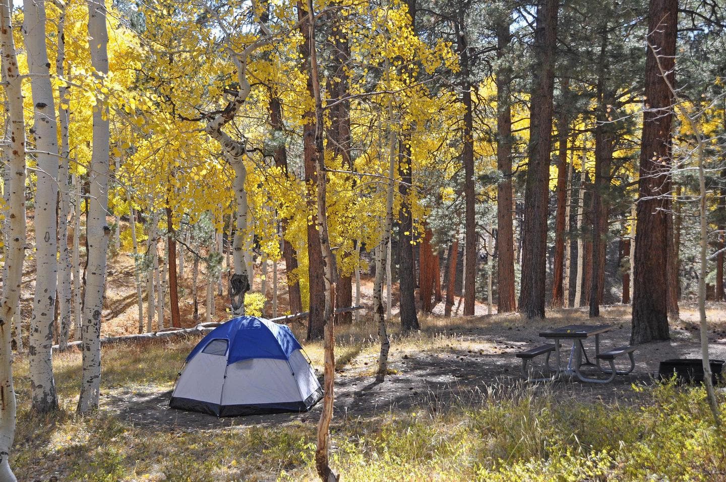 Большой каньон Аризона кемпинг. Camp Hero State Park. North camp