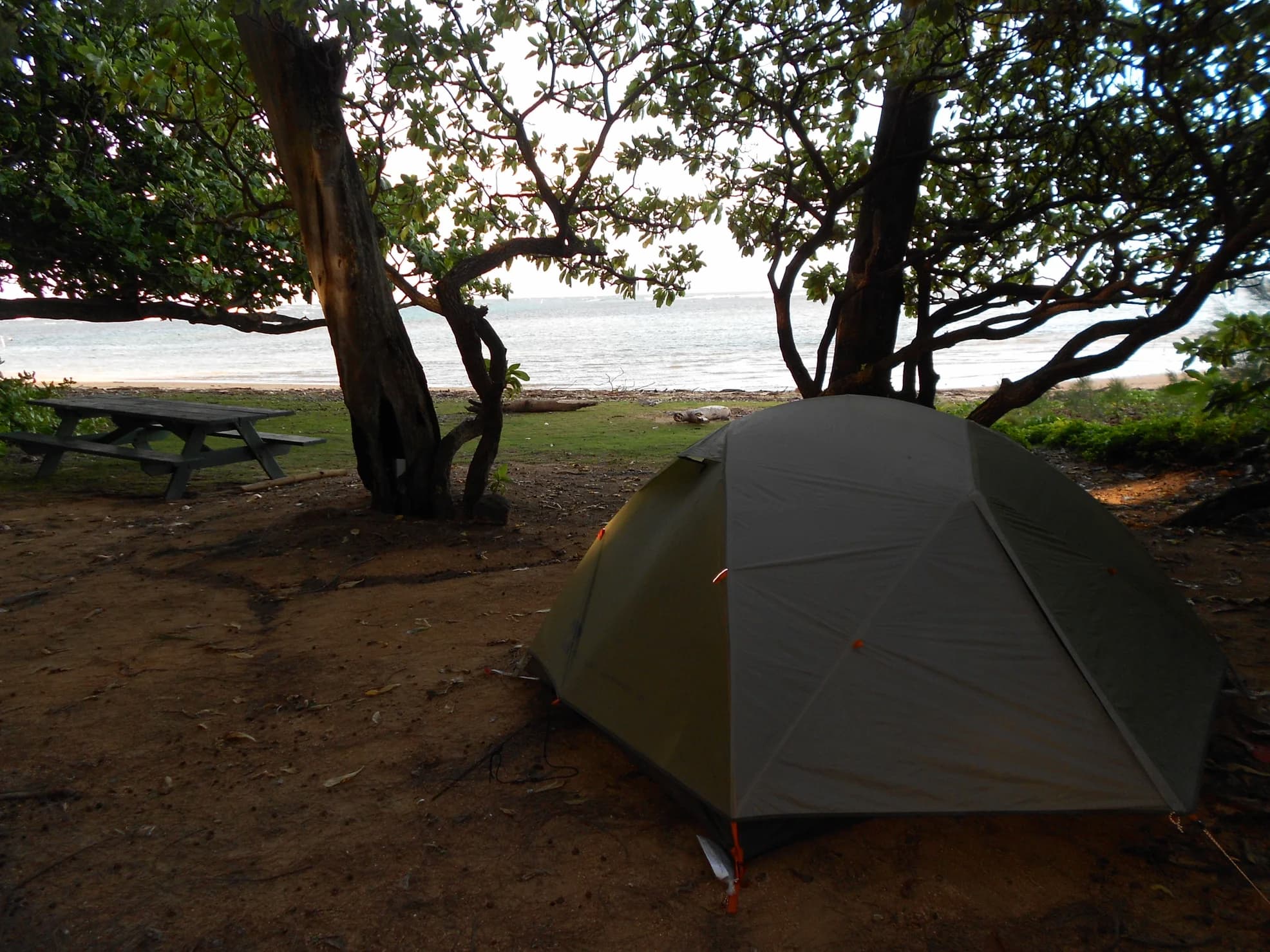 Tent pitched in the woods beside the beach on the coast of Hawaii.