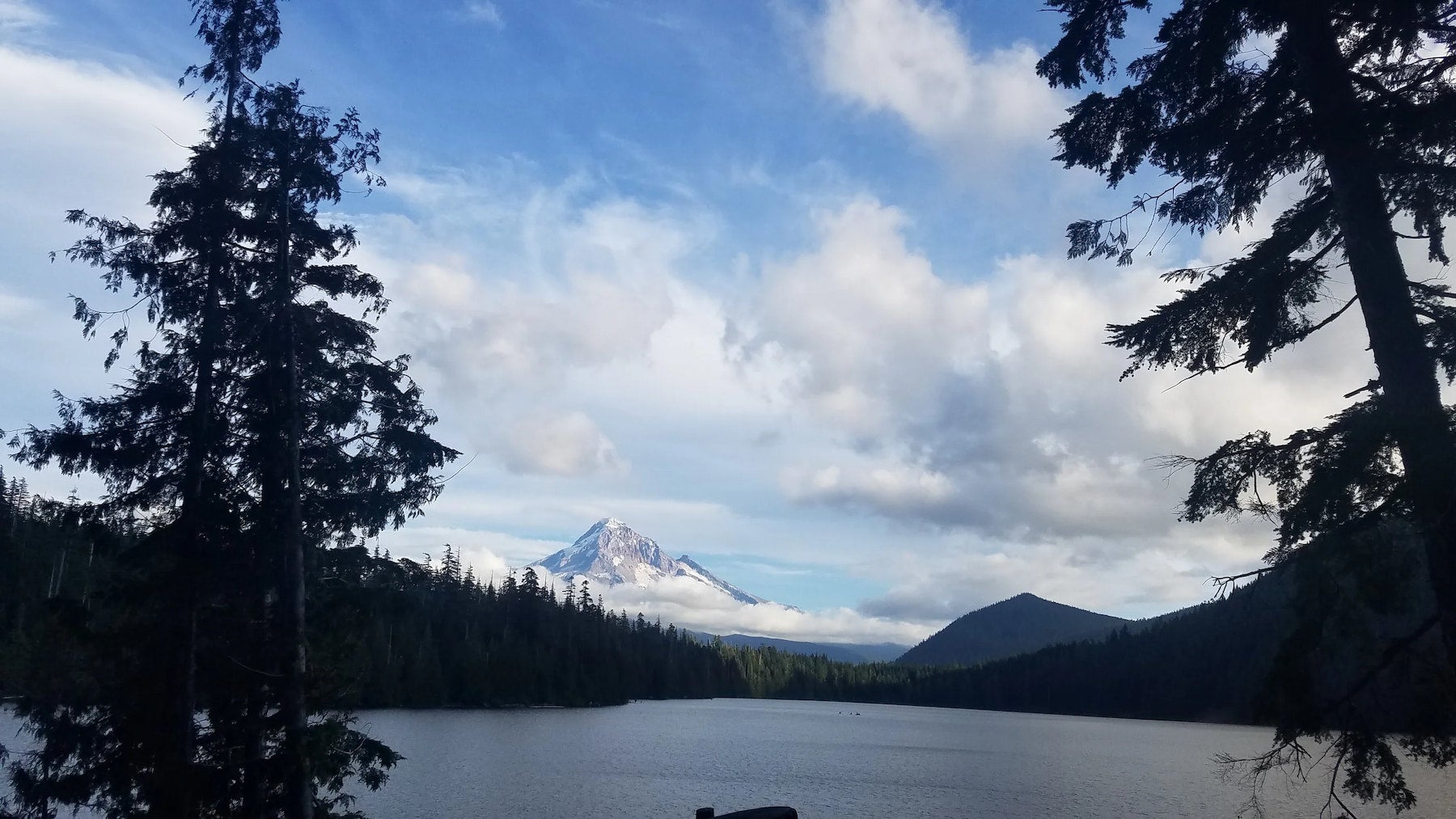 View overlooking lake through a forested campsite with snow dusted Mt. Hood in the distance.