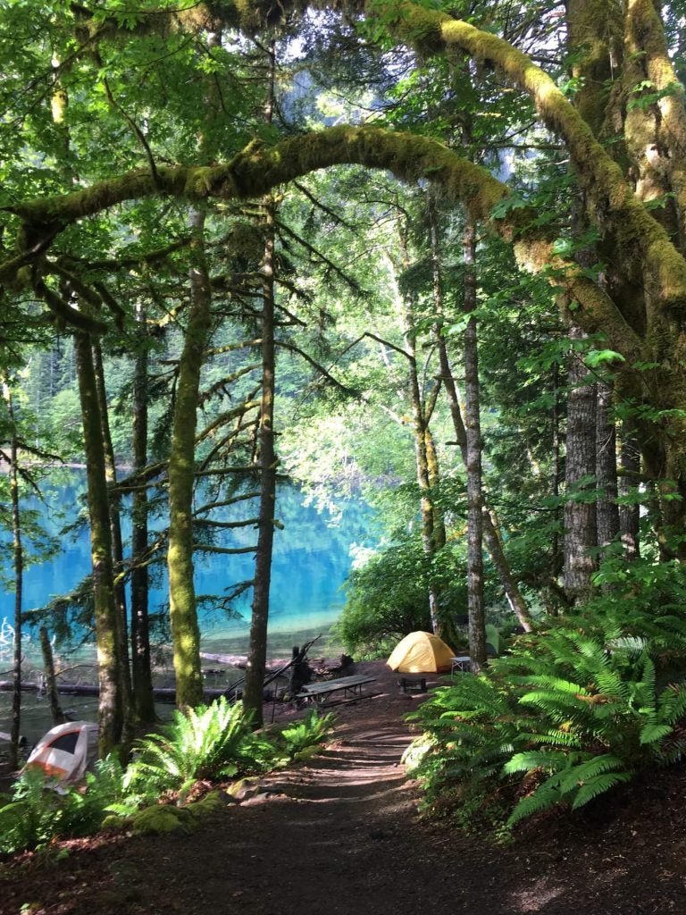 Campsite in a mossy forest beside a bright blue lake.