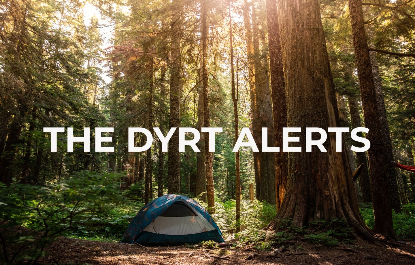 Which sold-out campgrounds can you scan for cancellations using The Dyrt Alerts?