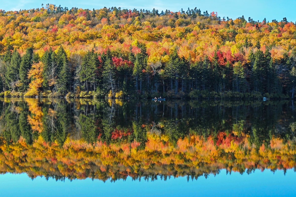 Fall Foliage in Vermont