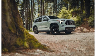 National Parks Where Wildlife Takes Center Stage