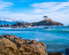 Pacific Coast Road Trip Segment: Brookings, OR to San Francisco, CA