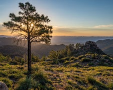 Route 66 Road Trip Segment: Amarillo, TX to Kingman