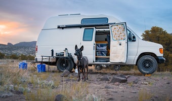 c portable dog fence for campingc