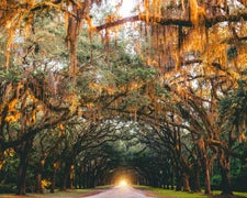 Atlantic Coast Road Trip Segment: Wilmington, NC to Savannah