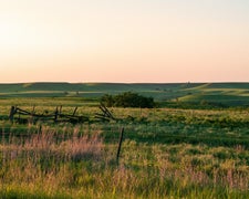 TransAmerica Trail Road Trip Segment: Alexander to Berea