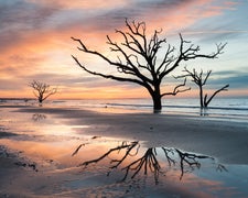 Atlantic Coast Road Trip