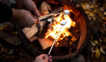 Gooey or Toasty: The Great S'mores Debate